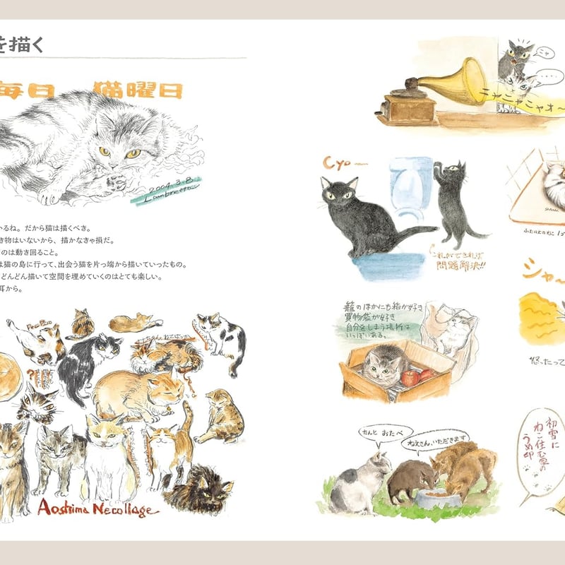 猫のダヤン　ダヤン　Wachifield 大判　特大　紙ポスター 猫のダヤン ダヤン Wachifield 大判 特大 紙ポスター 猫のダヤン