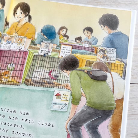 ほごねこそつぎょうしき