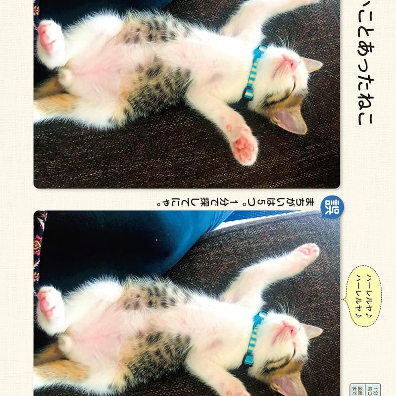 毎日脳活スペシャル 超にゃん問！ ねこのまちがいさがし のびのびねこ