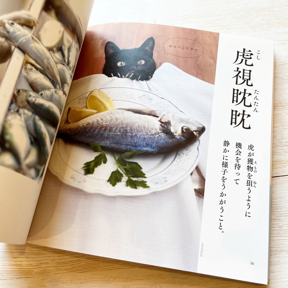 4ニャンズママ(＊プロフ必読＊)ページ ページ♥ 4ニャンズママページ ZX-4ﾏﾏ 🦖 (@_ZX4RR_) / X