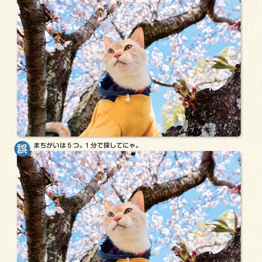 669f5ce6444fad07ecf94d3f