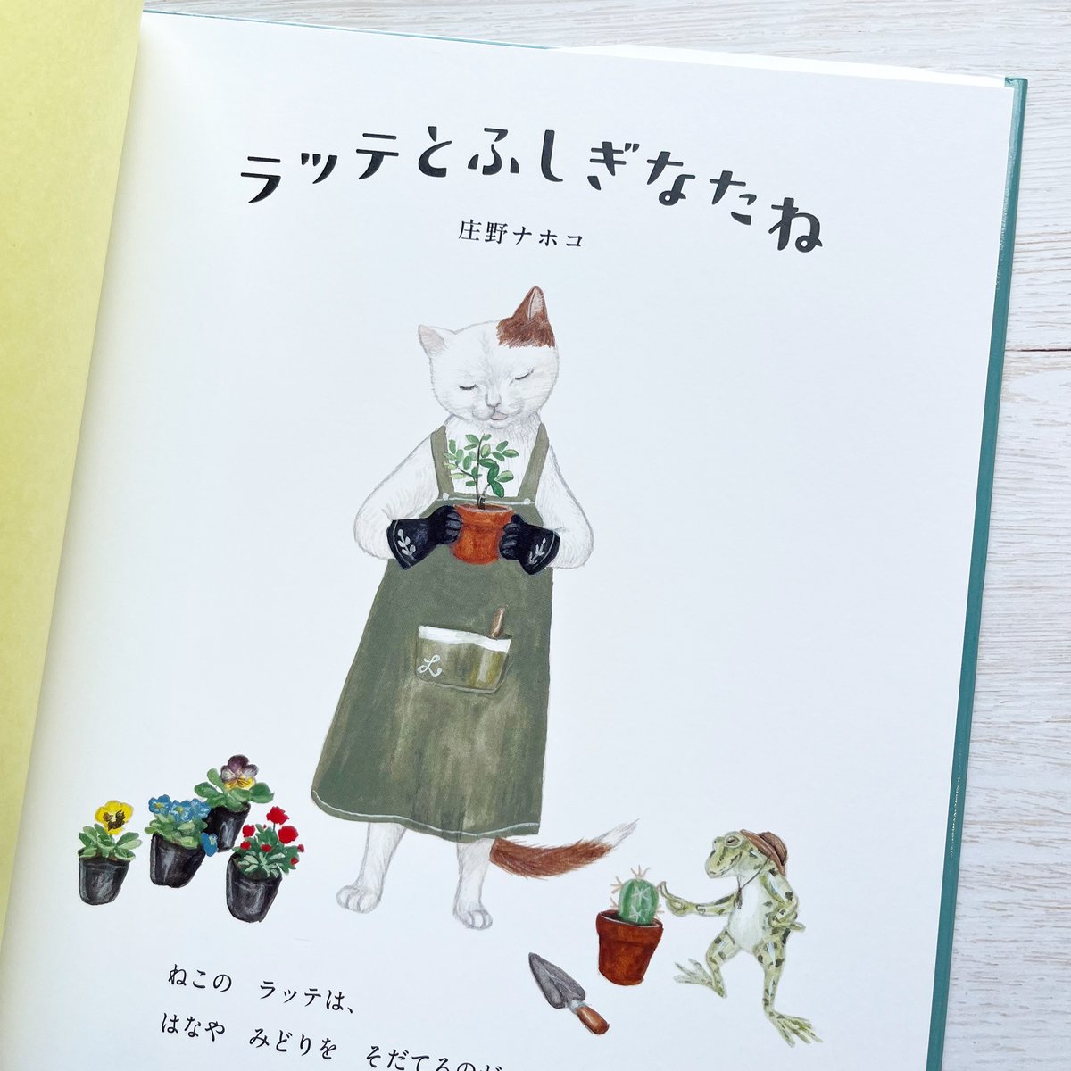 ラッテとふしぎなたね ☆直筆サイン入り | necoya books web store
