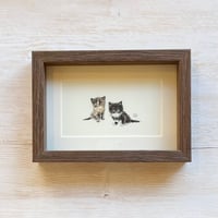 モリ イラストレーター 原画「サビとハチワレ」※着払い