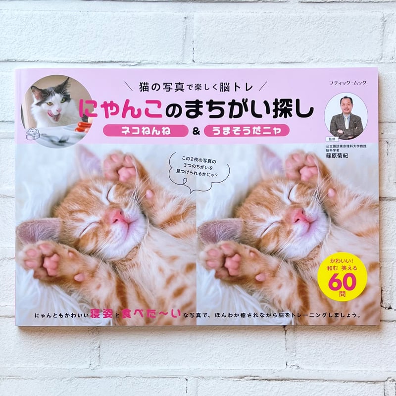 にゃんこのまちがい探し ネコねんね＆うまそうだニャ | necoya books