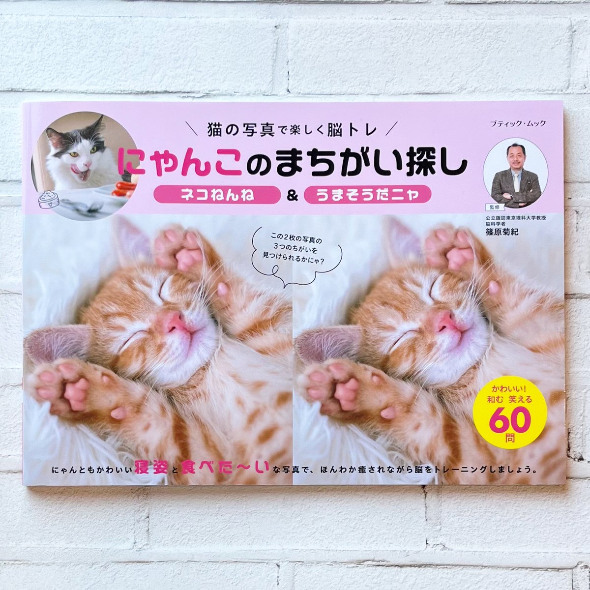 にゃんこのまちがい探し ネコねんね＆うまそうだニャ | necoya books