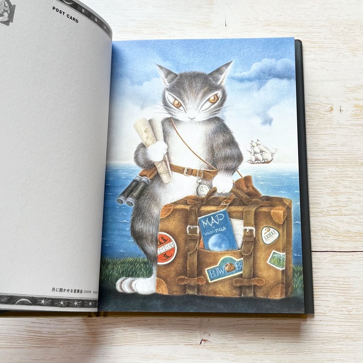 猫のダヤン ポストカードブック | necoya books web store 猫のダヤン ポストカードブック | necoya books web store