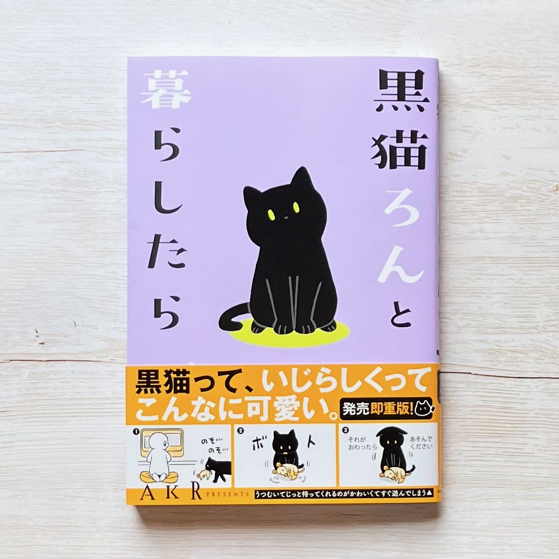 ねころく① 黒猫ろんと暮らしたら 1〜4 | necoya books web store