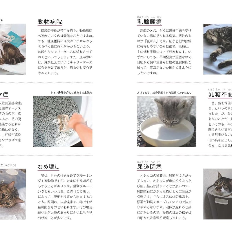 ねこまみれ事典 | necoya books web store