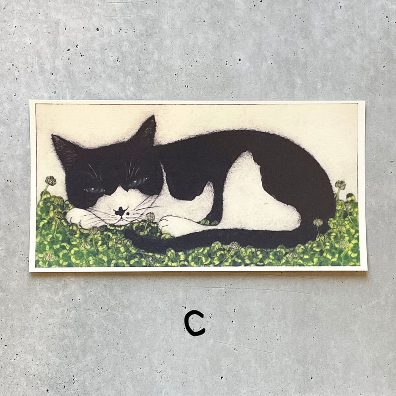 坂本千明 ポストカード「猫」 | necoya books web store