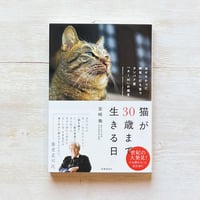 猫が30歳まで生きる日