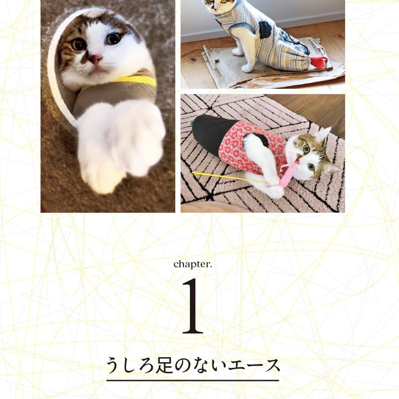 二本足の猫・エースのごきげん日和 | necoya books web store