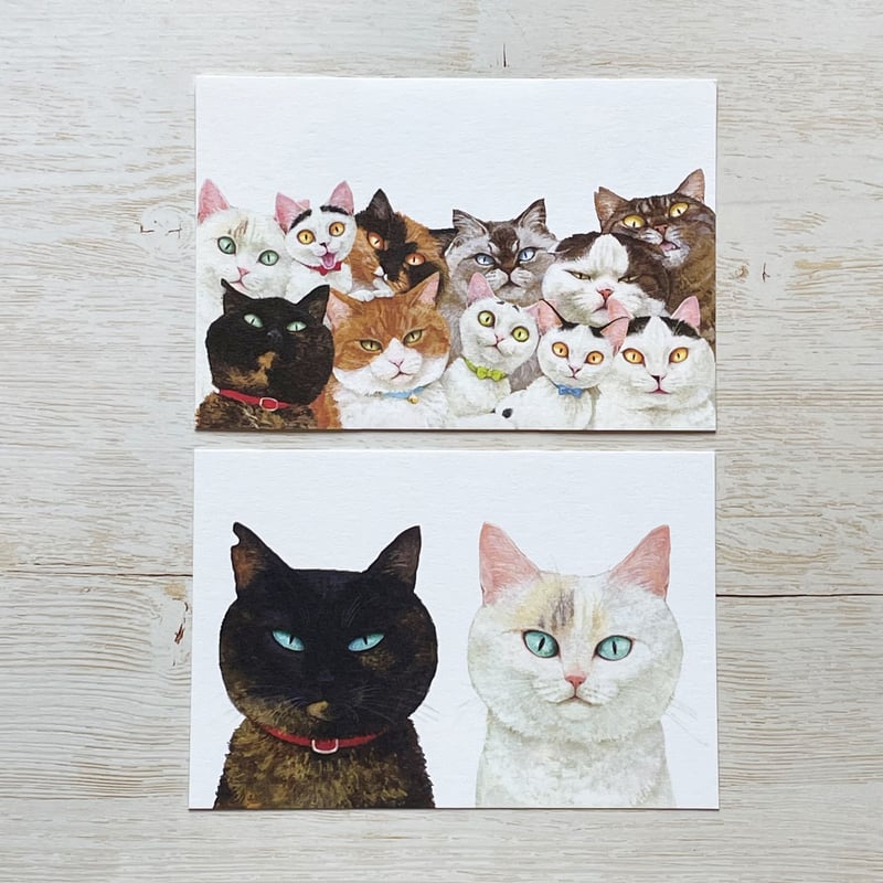町田尚子 ポストカード「ねことねこ」 | necoya books web store