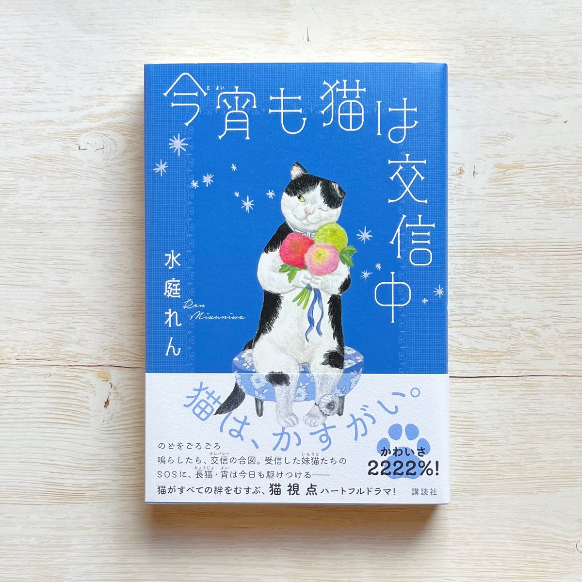もも猫 今宵も猫は交信中 | necoya books web store