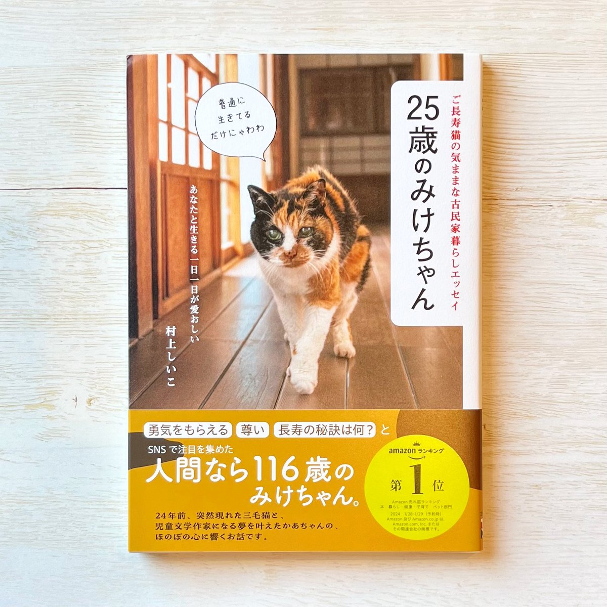 お値下げ　大人気作家　猫ちゃん 25歳のみけちゃん | necoya books web store