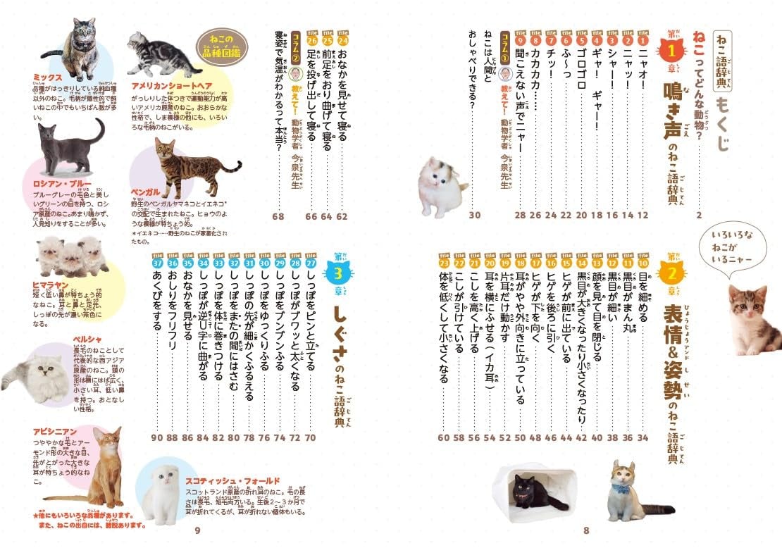 4コマまんがでゆるっとわかる! ねこ語辞典 | necoya books web store
