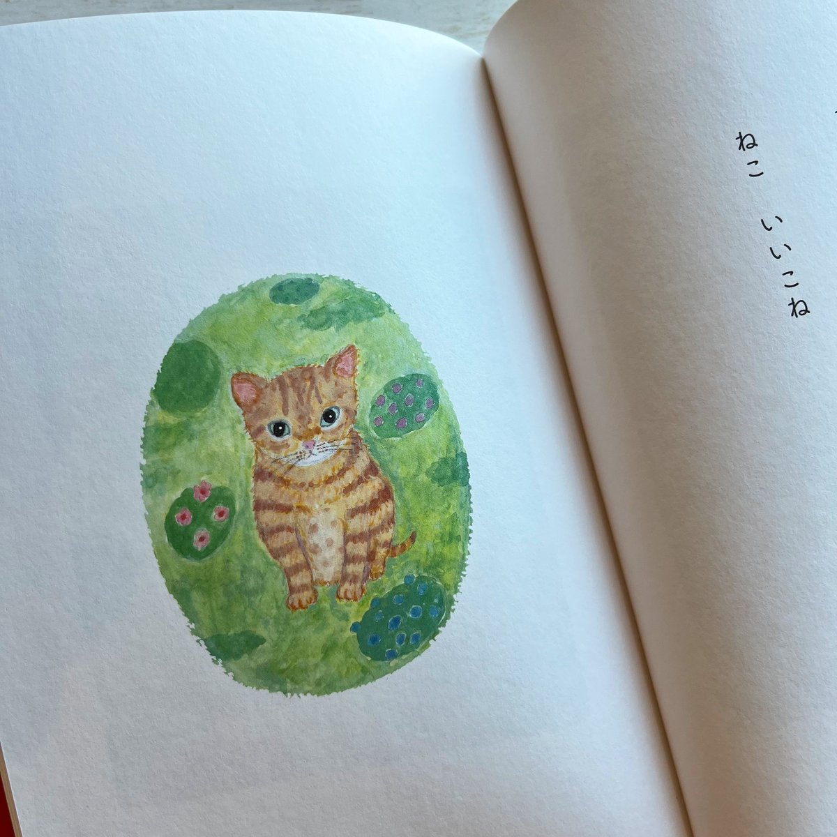 こねこ 2点まとめ ねこにこにこね | necoya books web store