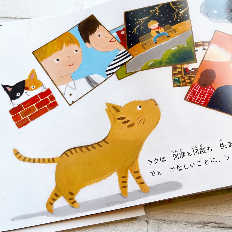 §くぅーの本屋さん§ 新装版『本屋のラク』: 9回生きたねこのはなし | necoya books web store