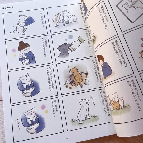 たまさんちのホゴネコ2