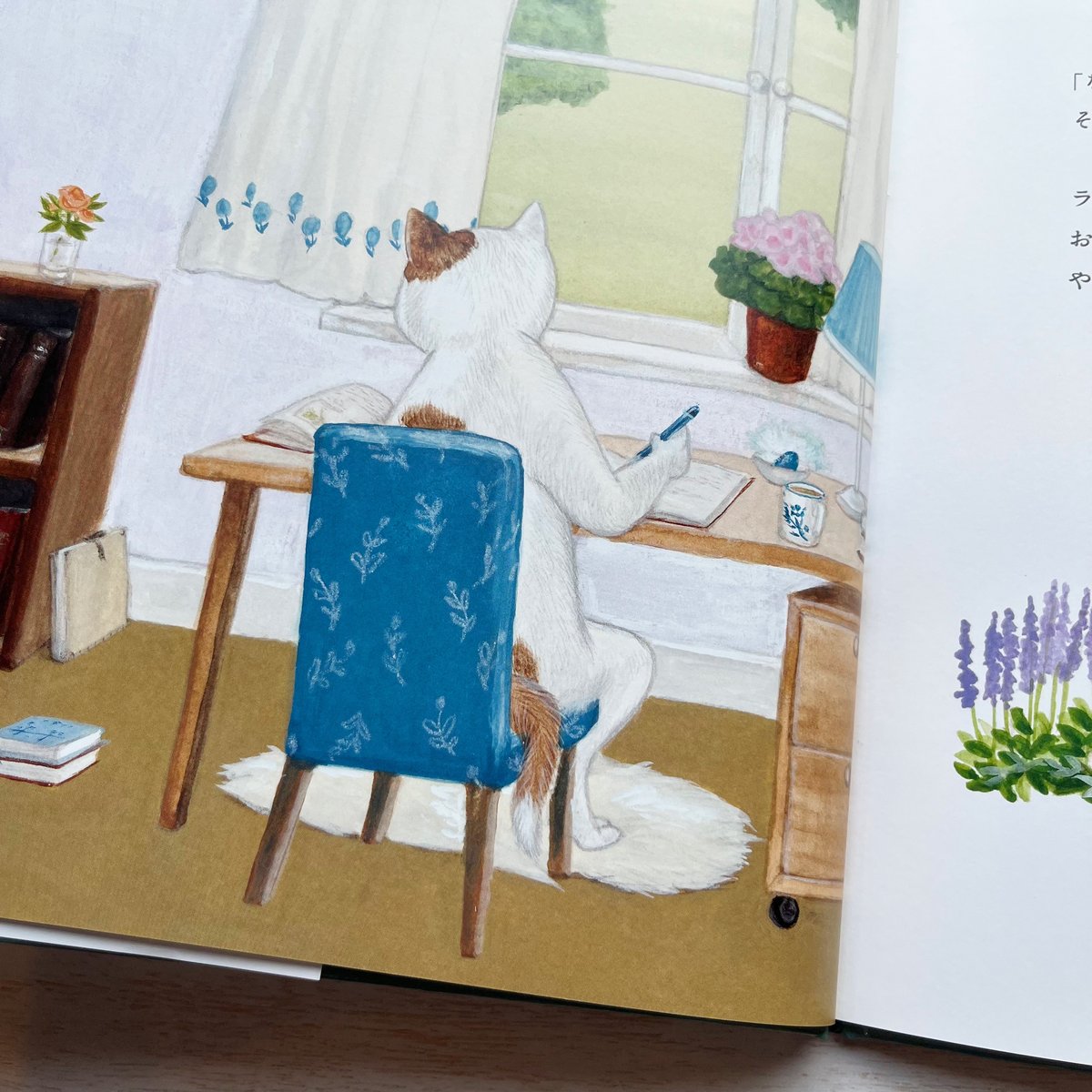 ラッテとふしぎなたね ☆直筆サイン入り | necoya books web store