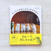 ちっちゃなねこたちのおるすばん
