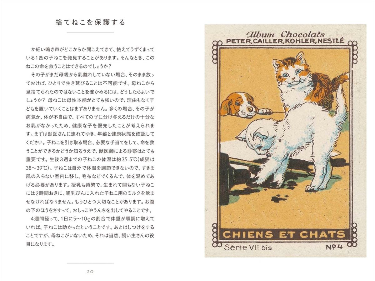 LE PETIT LIVRE DES CHATS ちいさな手のひら事典 ねこ ねこ (ちいさな手のひら事典) | ブリジット・ビュラール