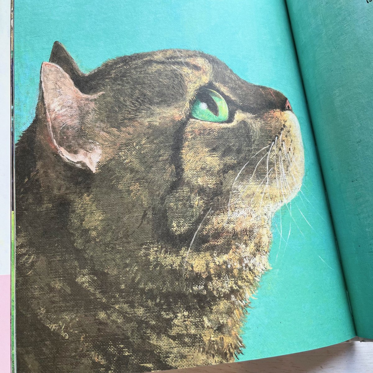 なまえのないネコページです。 絵本『なまえのないねこ』 - YouTube