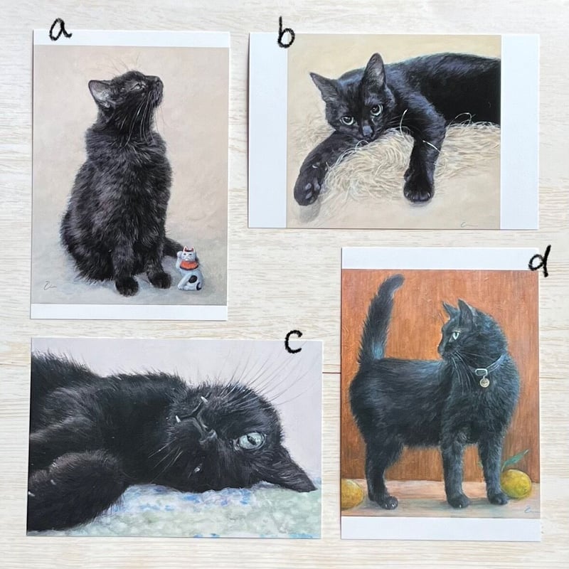 Čimi Cat painter 黒猫ポストカード | necoya books web store