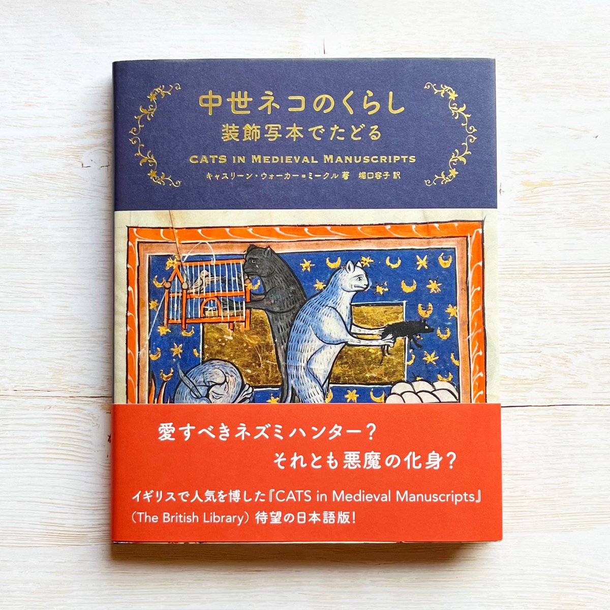 二柱の座敷童子様宿る霊石 ❃呪物❃