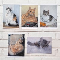Čimi Cat painter 猫ポストカード