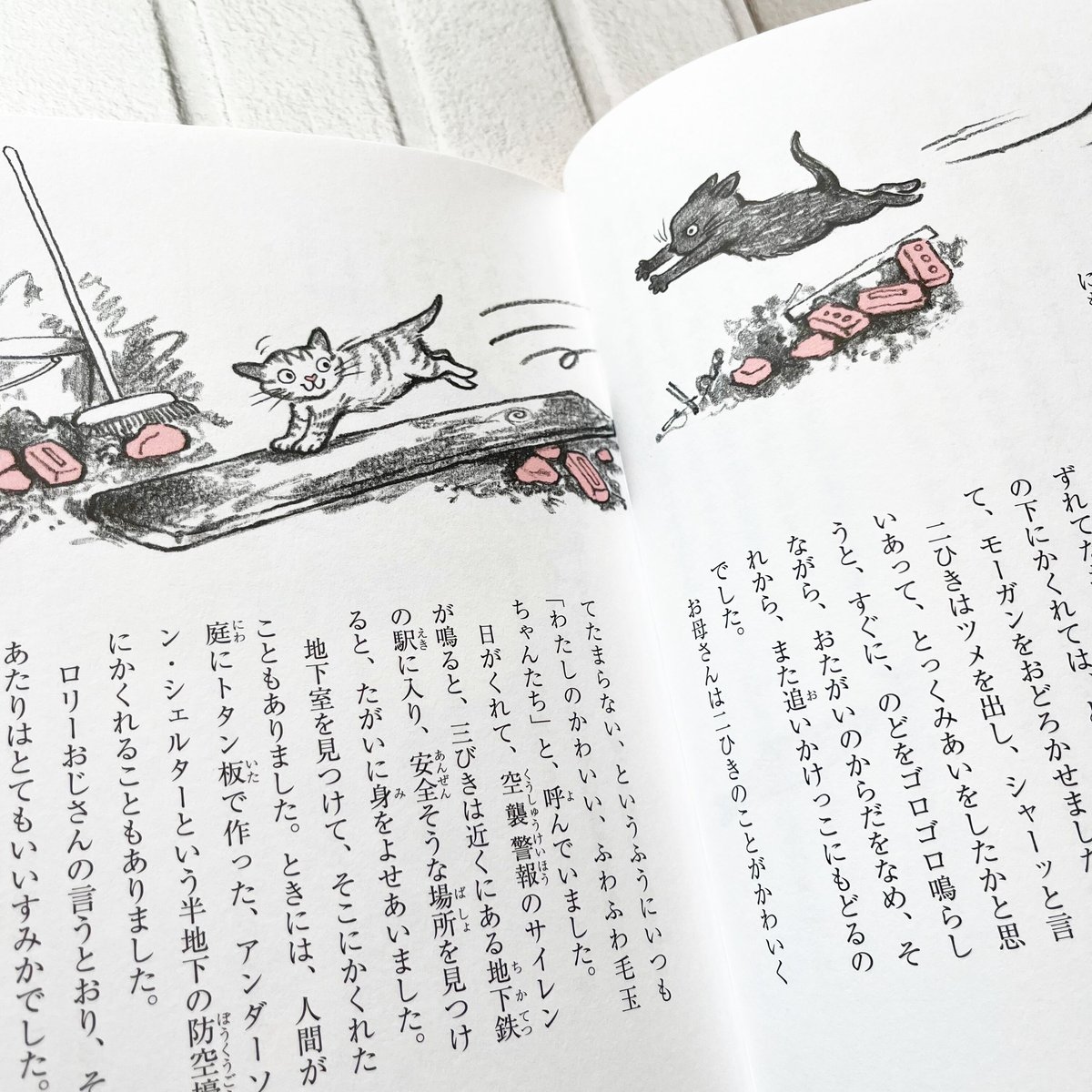 THE BOOK CAT／ブックキャット | necoya books web store