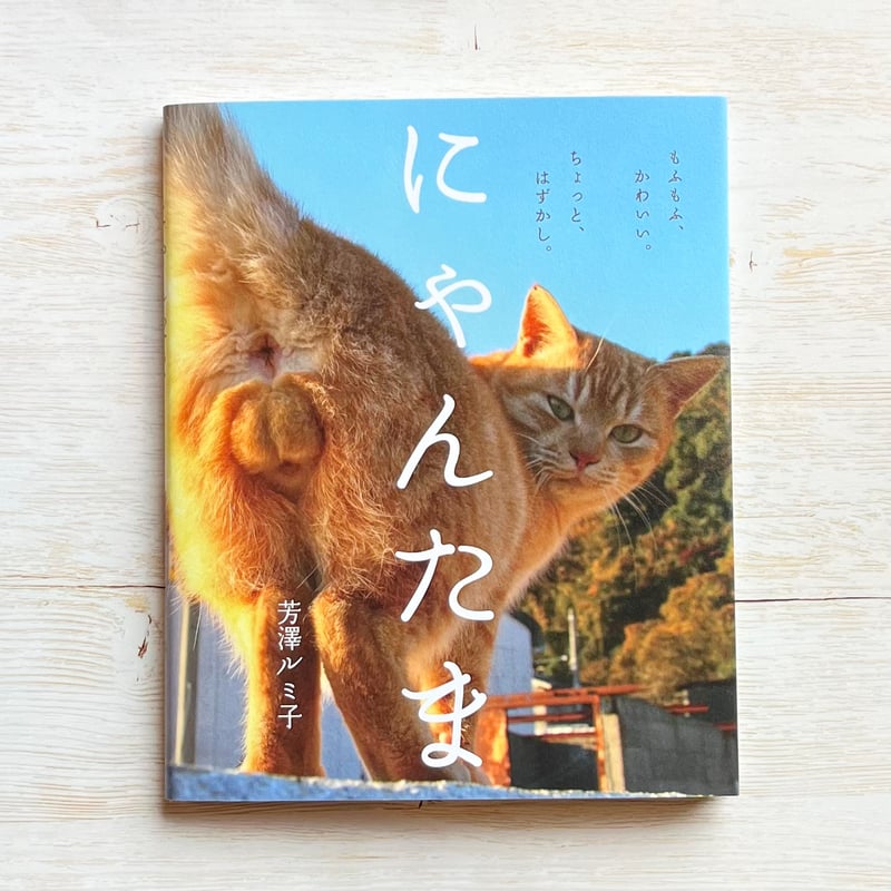 にゃんたま様 にゃんたま様