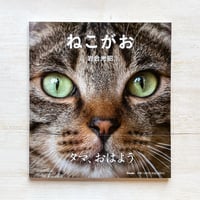 にゃんたま | necoya books web store