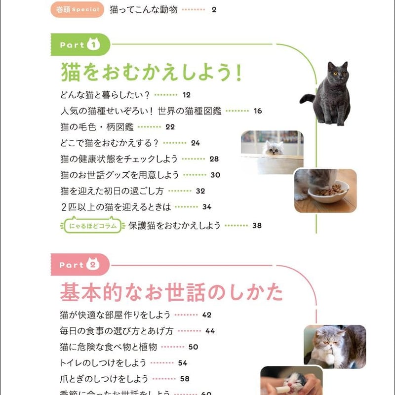 はじめての猫 決定版: この1冊で猫のお世話がまるわかり