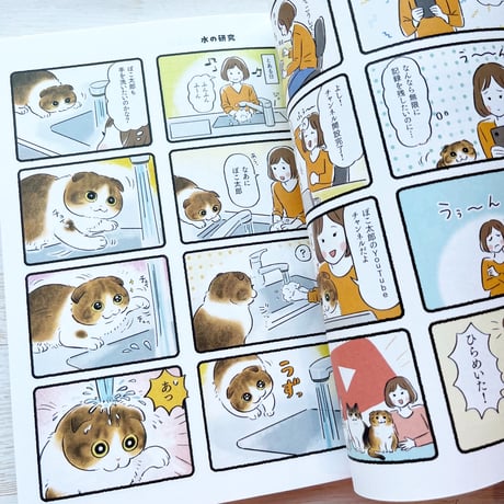 スコスコ事件簿