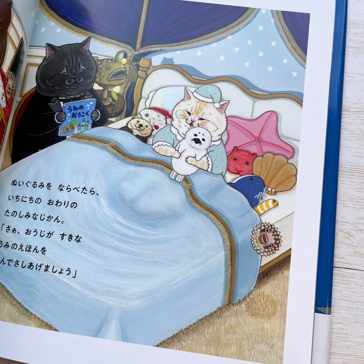 ねこおうじとうみのいきもの | necoya books web store yukeyyさん専用 