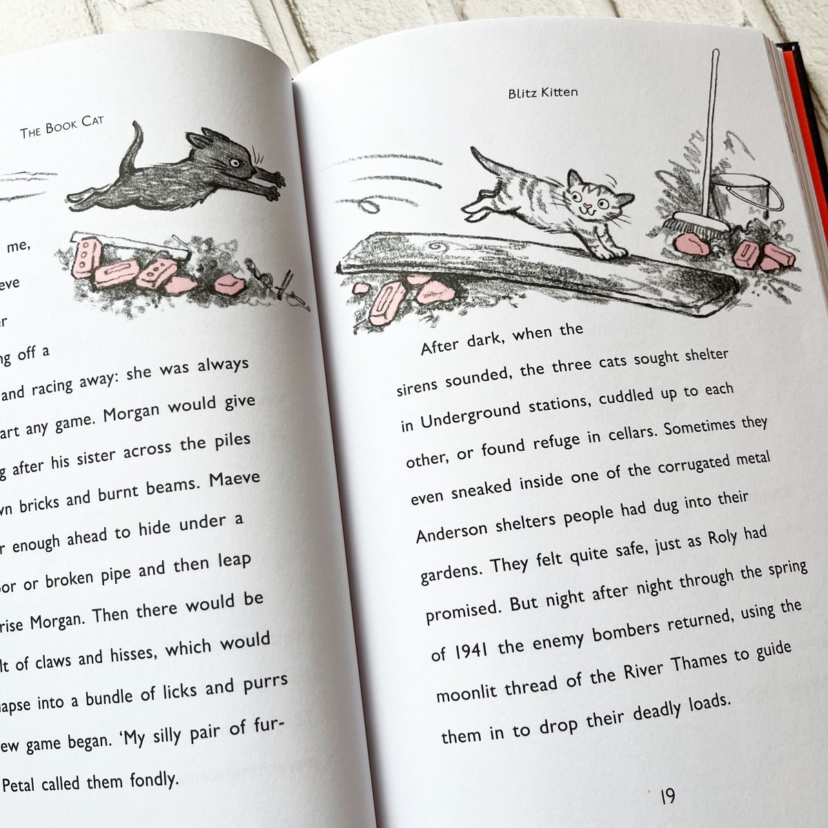 THE BOOK CAT／ブックキャット | necoya books web store