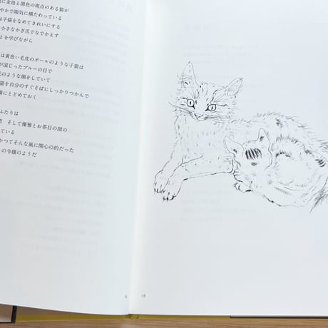 夜と猫