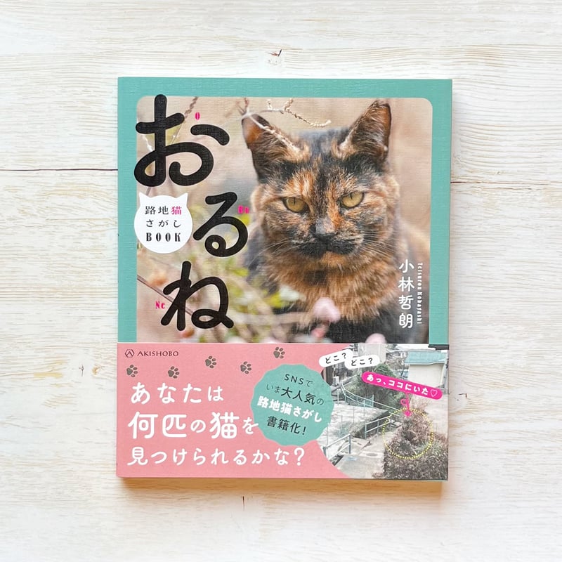 のらねこページ キジトラ兄妹 シャーシャーから ゴロゴロにゃんに変身しました
