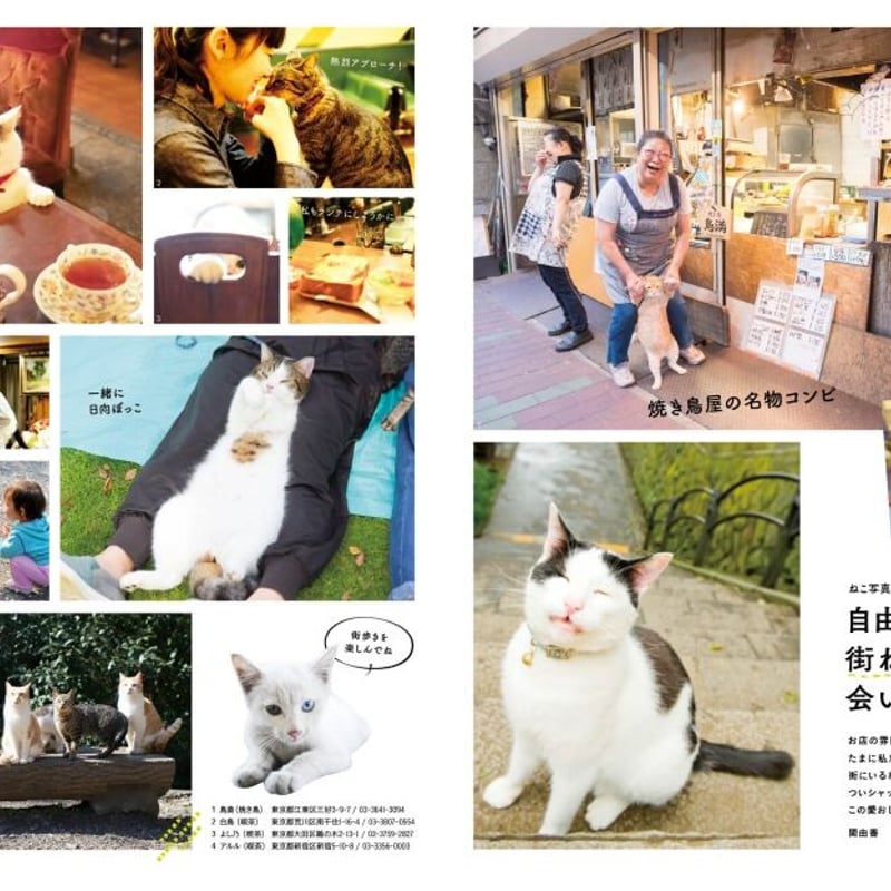 にゃっぷる | necoya books web store