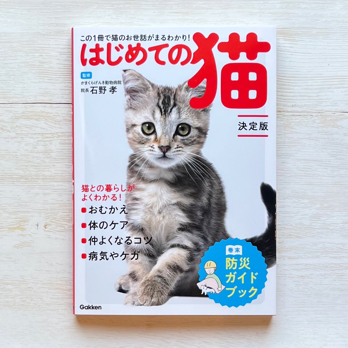 ねこ◎プロフ必読ページ リード別売】ゴロにゃんオリジナル猫用ハーネス ダブルブロック