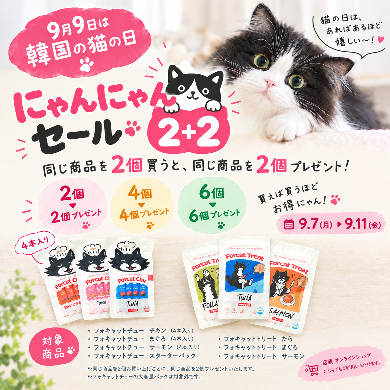 にゃんにゃんセール 開催🐾