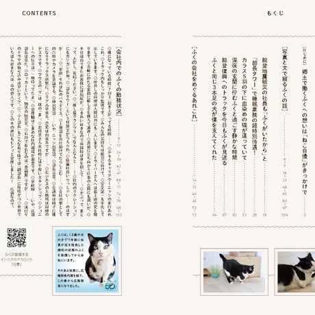 3本足の保護猫ふくは、運送会社の広報部長 ニャンと社員のあたたかなオフィス