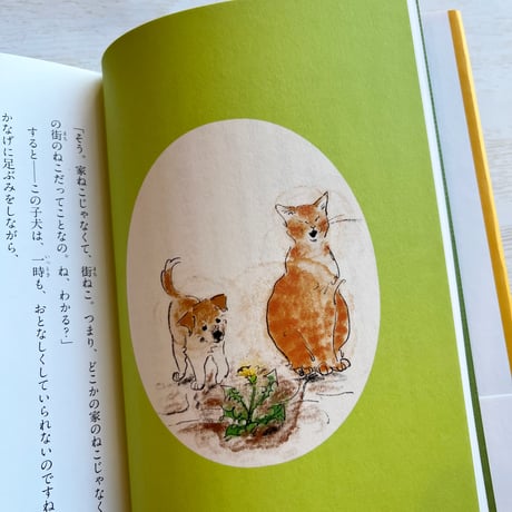 ちいさな花 咲いた