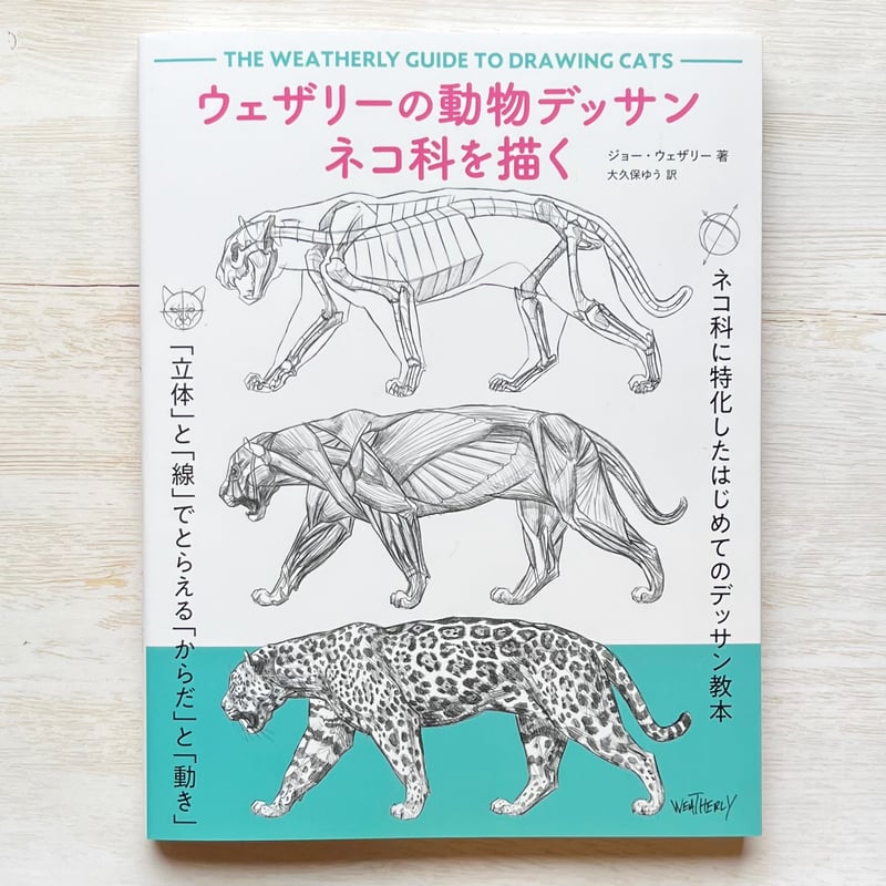 ウェザリーの動物デッサン ネコ科を描く | necoya books web store