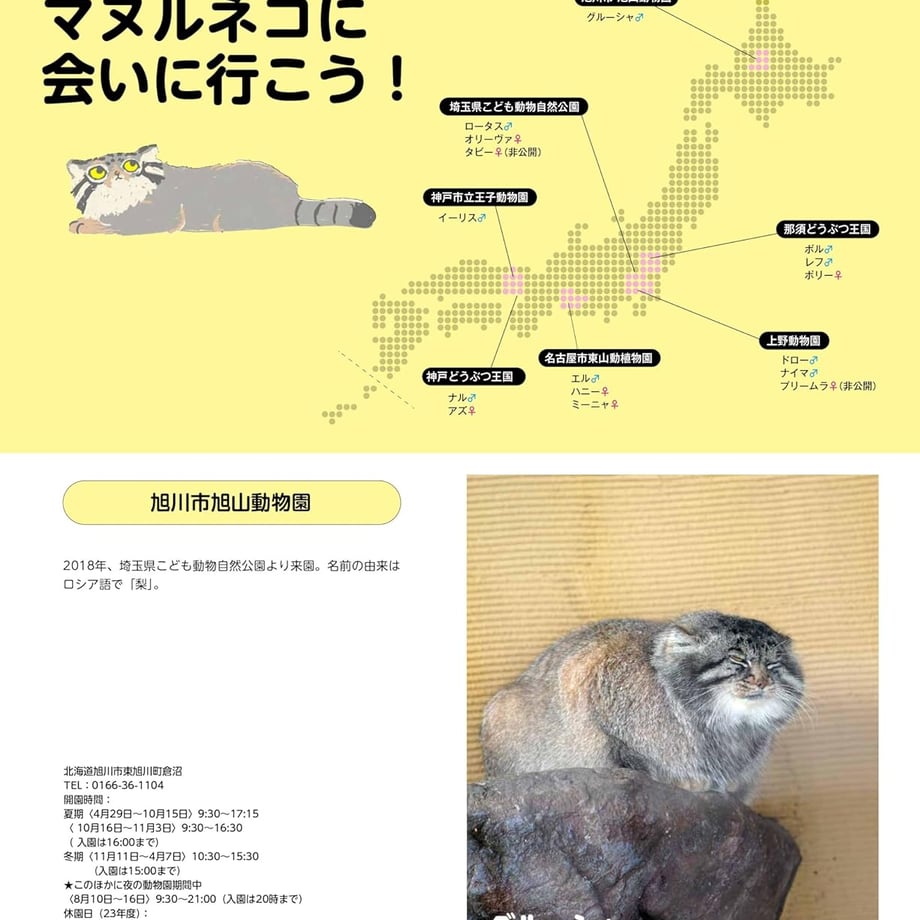 66dfd339b859d30221498829
