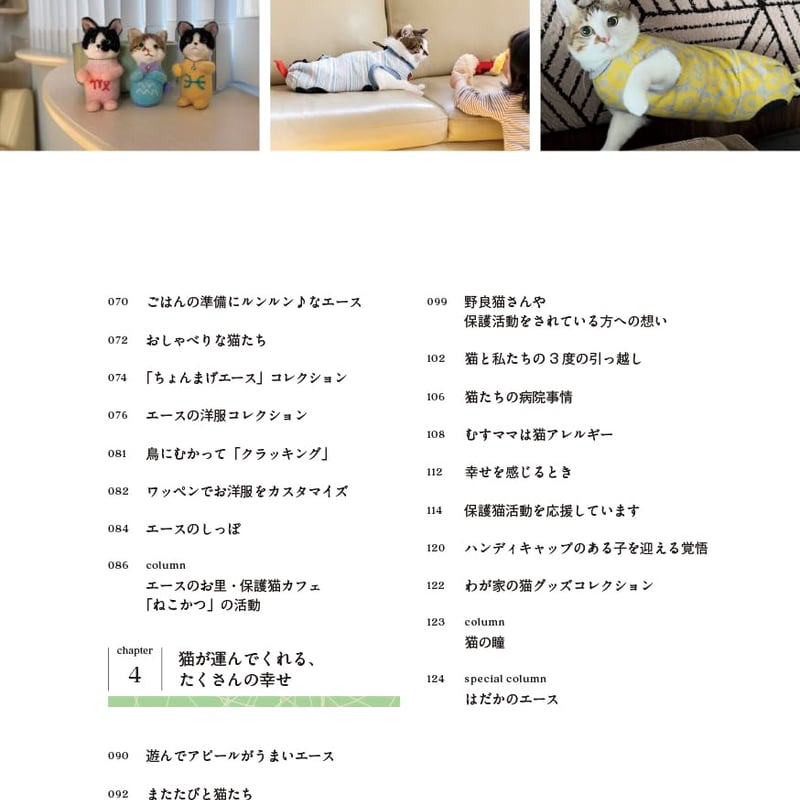 二本足の猫・エースのごきげん日和 | necoya books web store