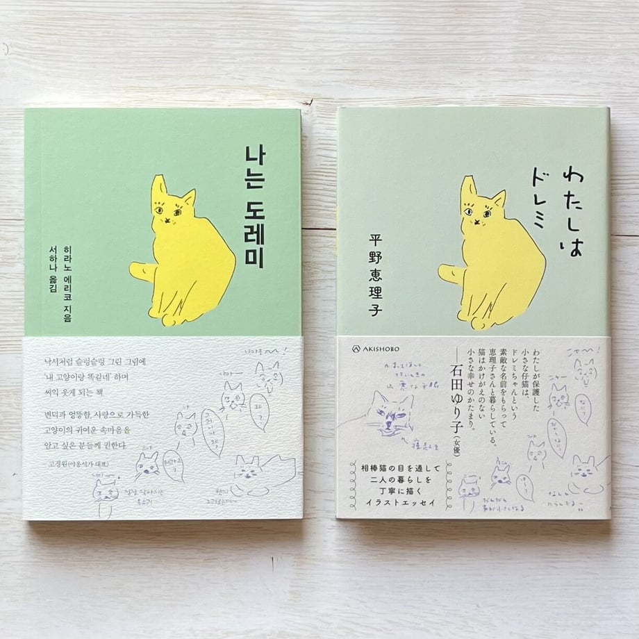 63cf69a19fae71382d3f1e17