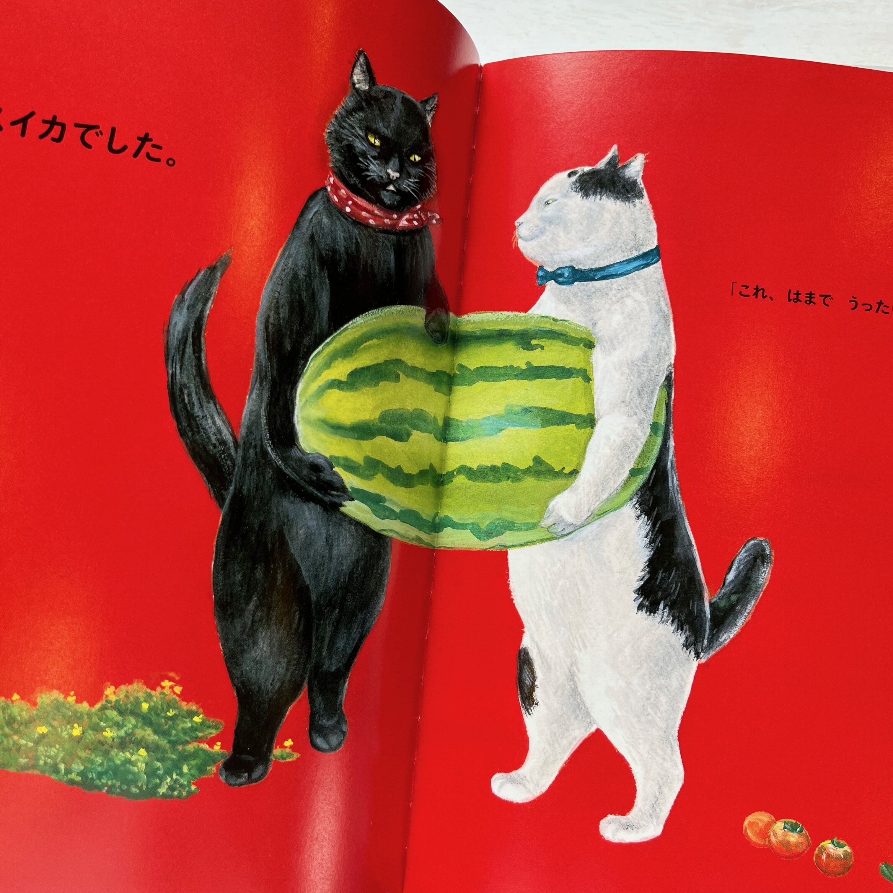 ルッキオとフリフリ おおきなスイカ | necoya books web store