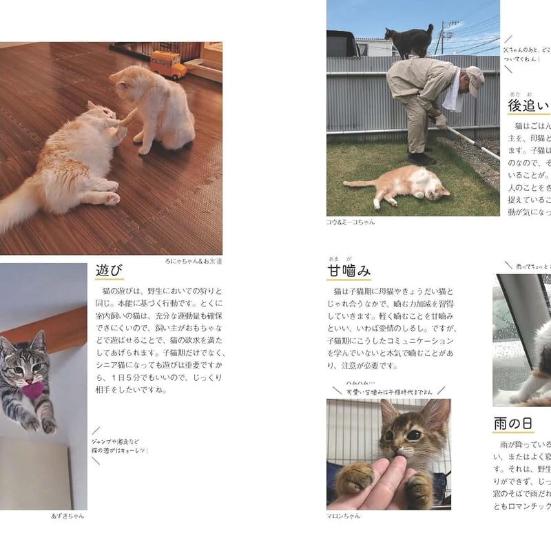ねこまみれ事典 | necoya books web store