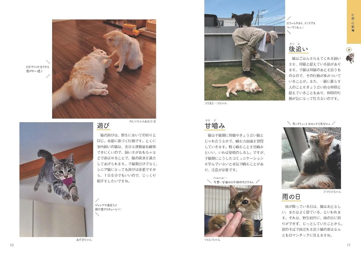 ねこまみれ事典 | necoya books web store